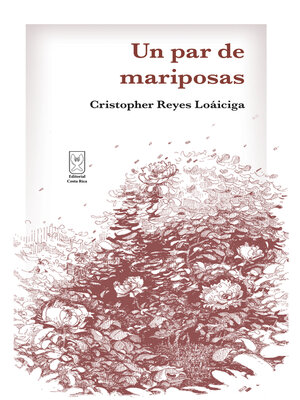 cover image of Un par de mariposas